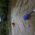 Splav rieky Orava IBO Poľovník